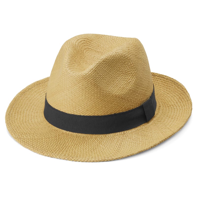 Striped Ribbon Panama hat