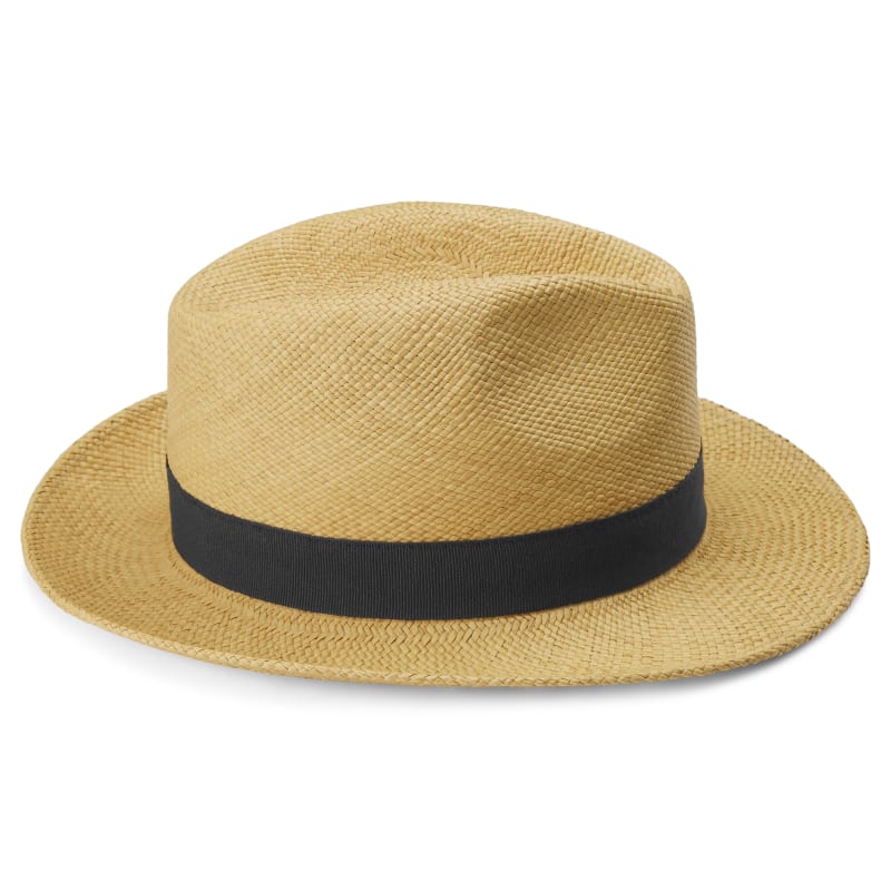 Striped Ribbon Panama hat